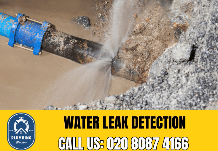 leak detection Merton